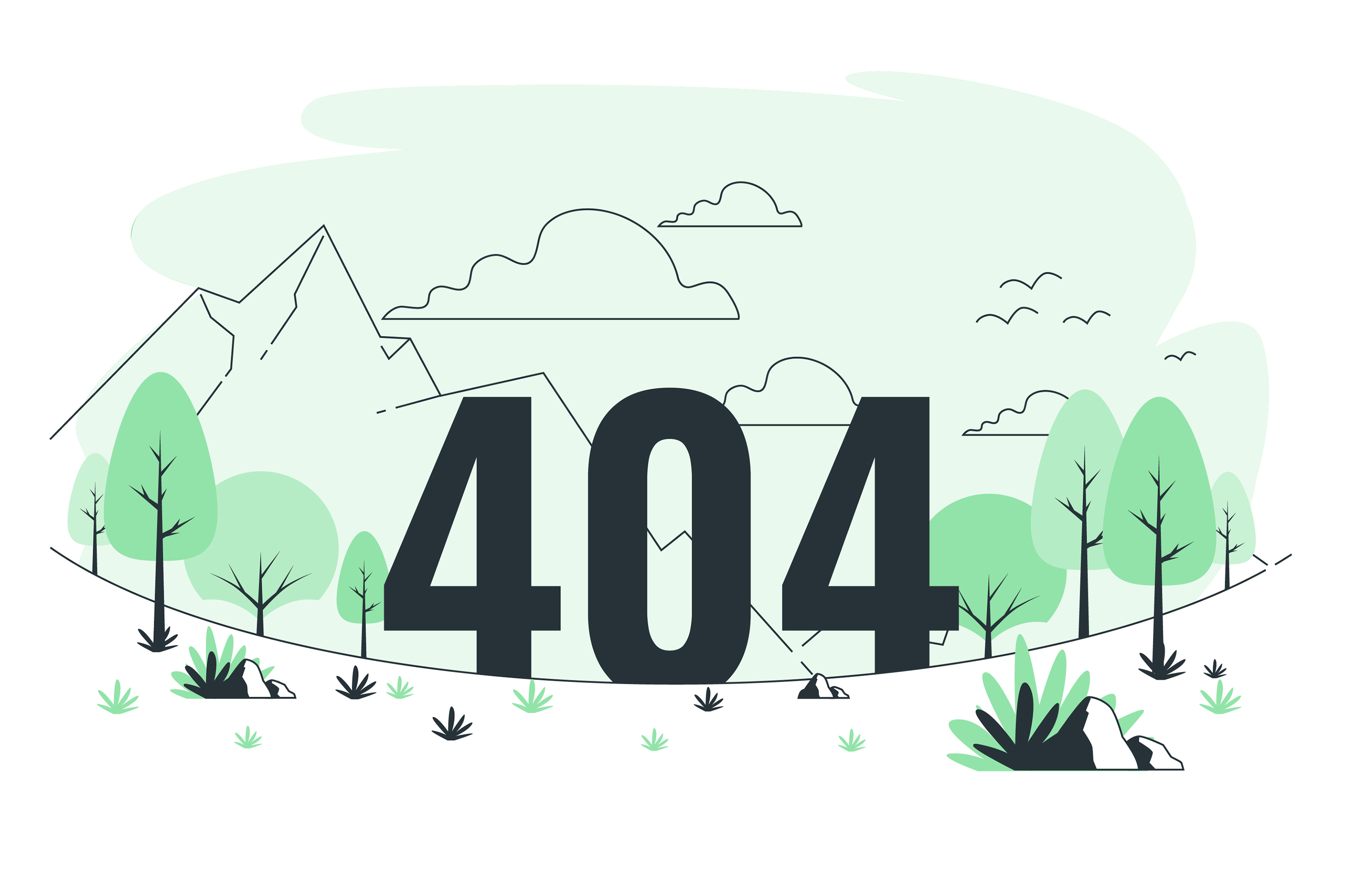 404 image